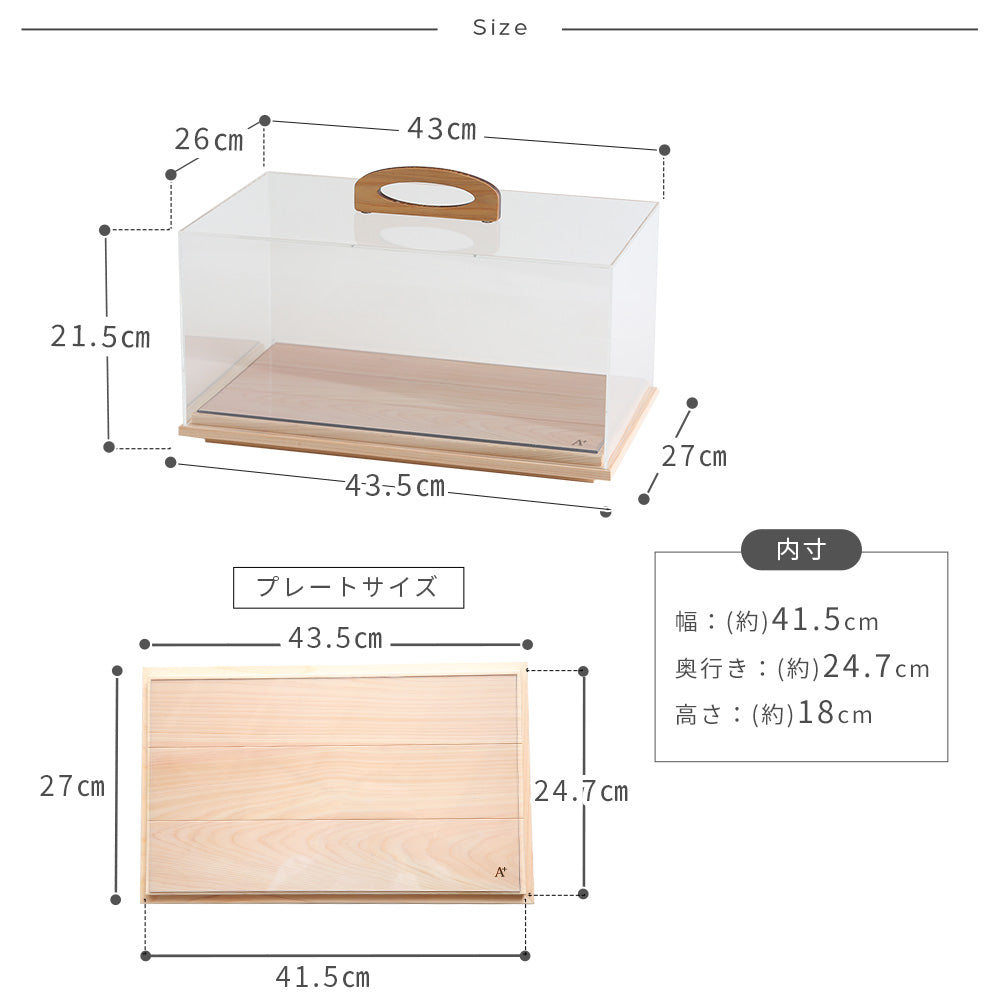 kigumi MOVEショーケース Lサイズ