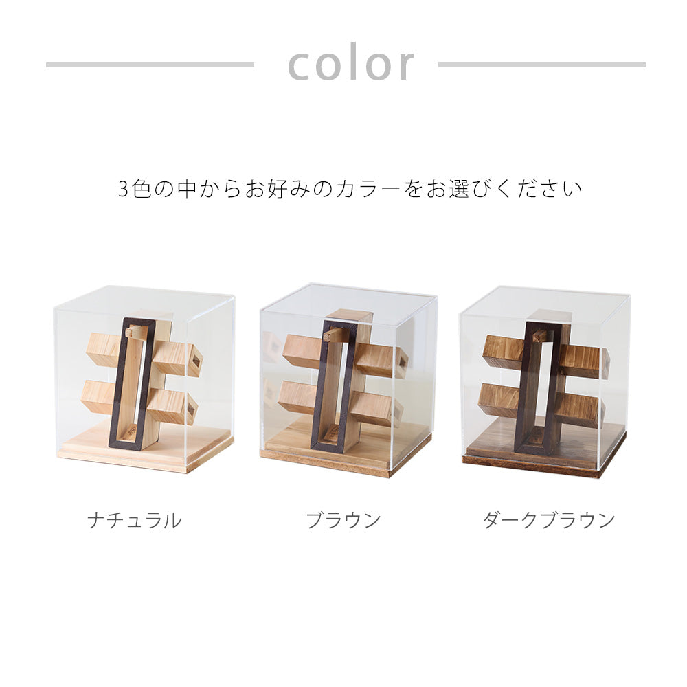 kigumi メガネショーケース 2本用