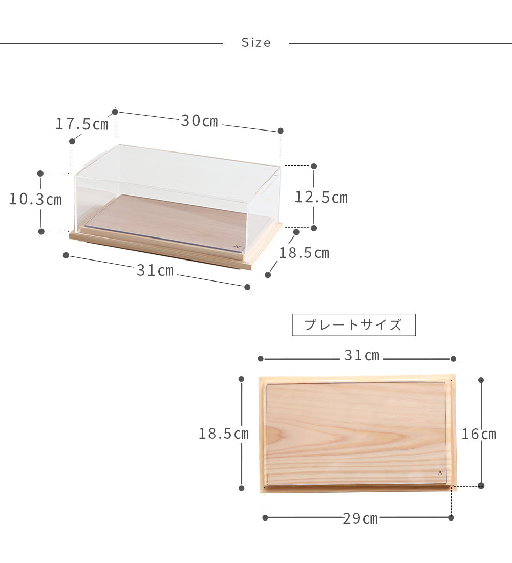 kigumi MOVEショーケース LOW Sサイズ