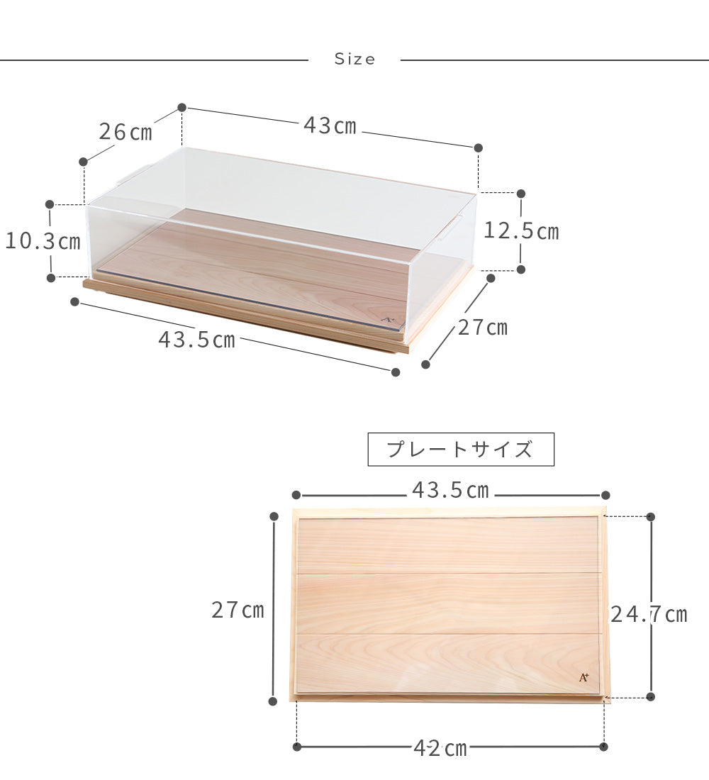 kigumi MOVEショーケース LOW Lサイズ