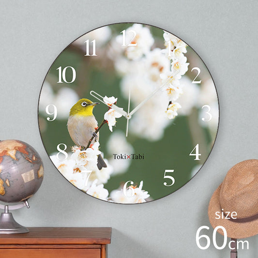 大型時計 Toki×Tabi 梅の花とメジロ -white- 60cm