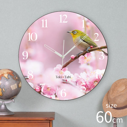 大型時計 Toki×Tabi 梅の花とメジロ -pink- 60cm