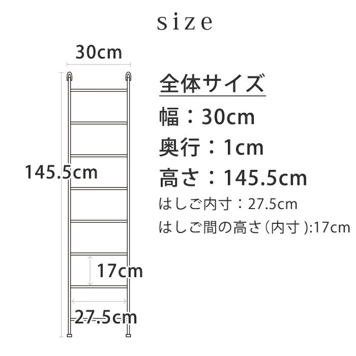 アイアンラダーラック