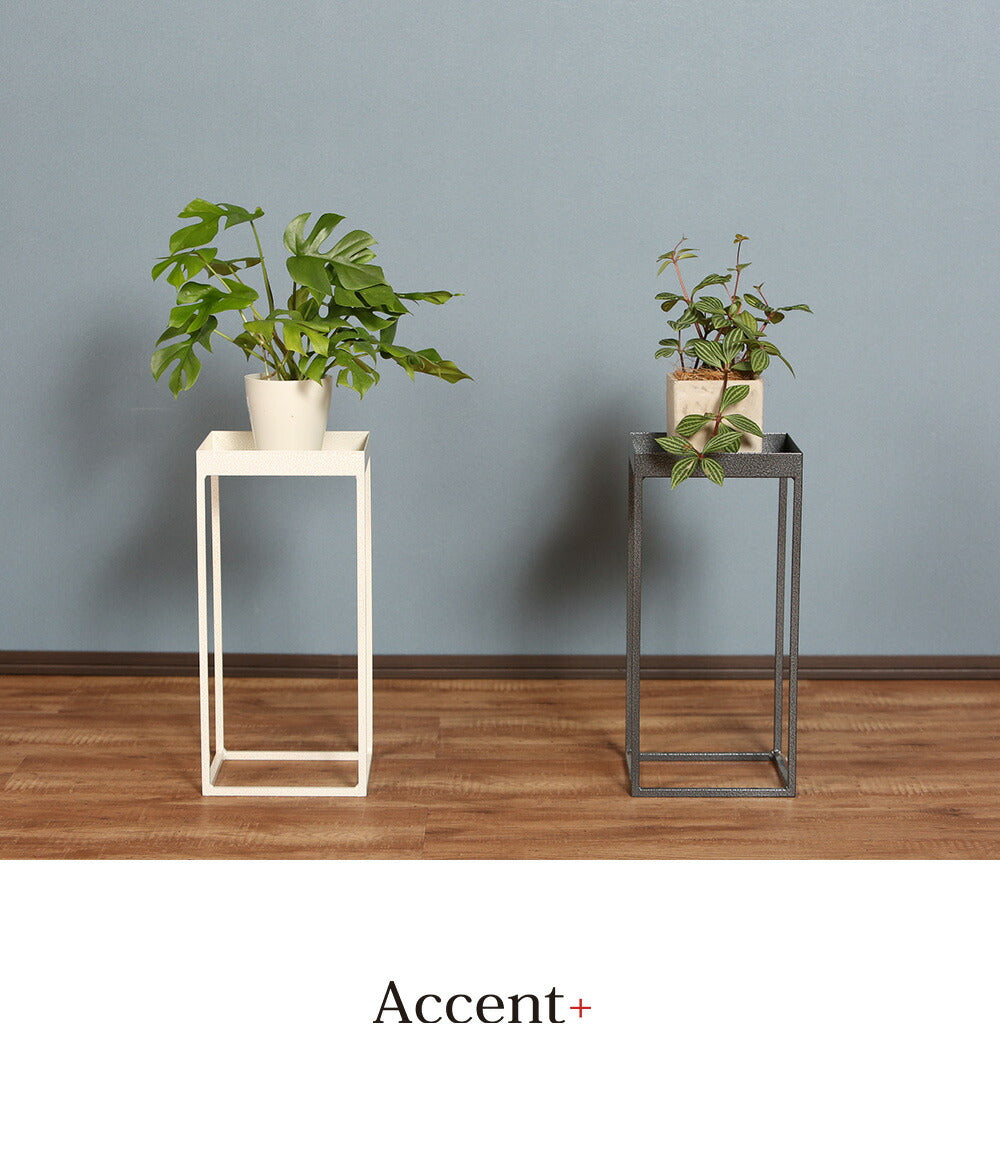 planter stand high