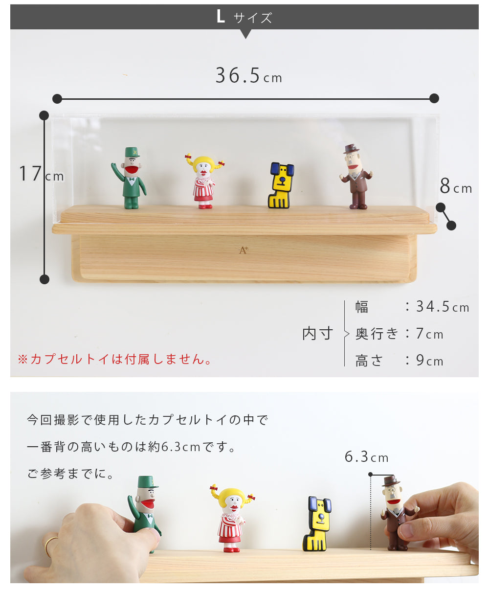 kigumi カプセルトイ用ウォールショーケース