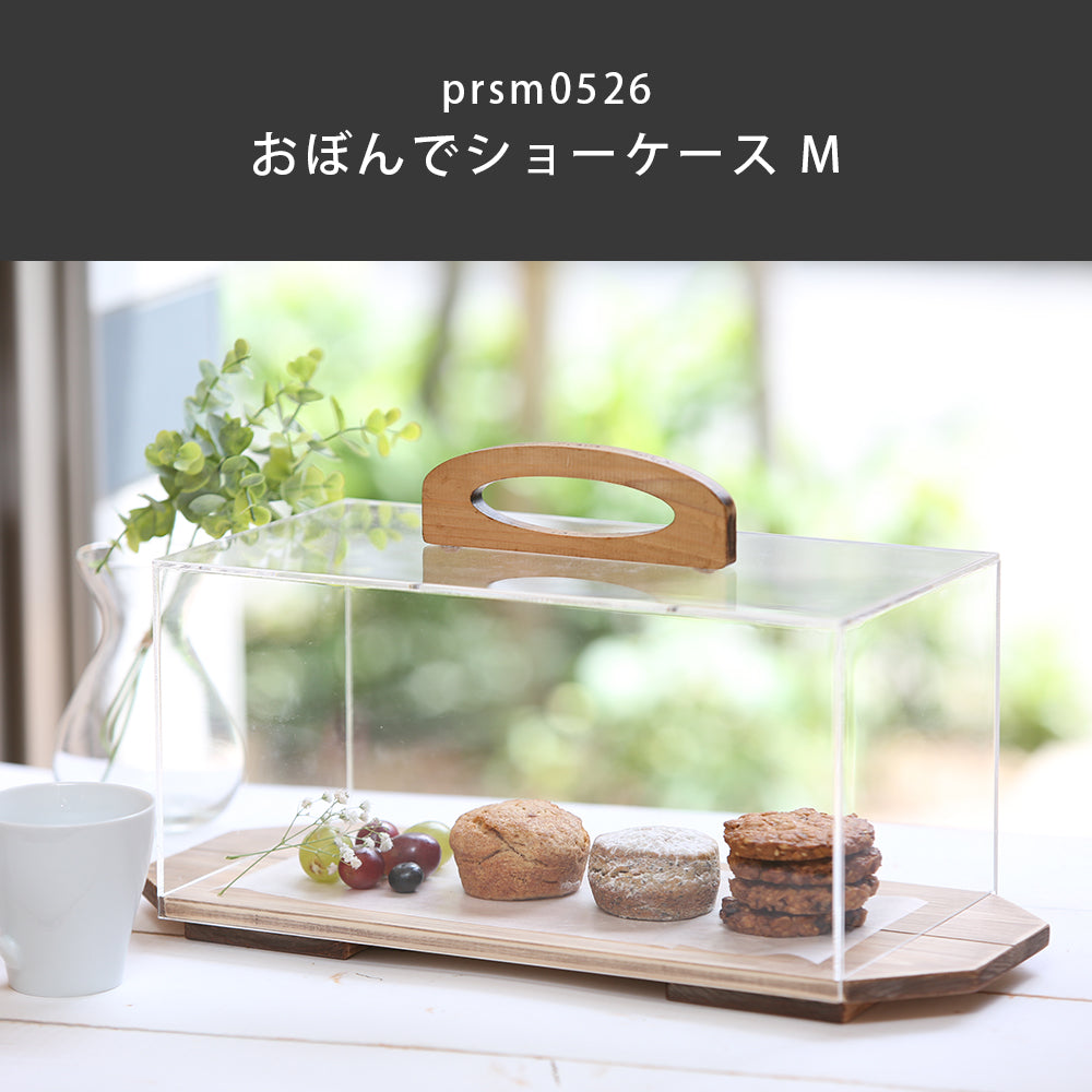 TAKEDOMI  スペリオ S 650キュリオ材質: アスペン　飾りショーケース kigumi ショーケース用アクリルケース（スペアパーツ） – PRiSM