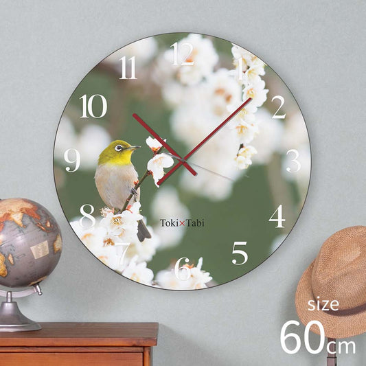 大型時計 Toki×Tabi 梅の花とメジロ -white- 60cm