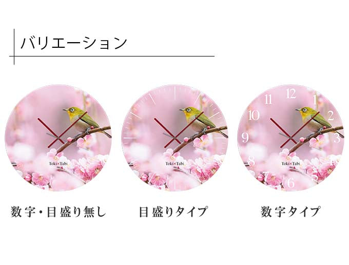 大型時計 Toki×Tabi 梅の花とメジロ -pink- 60cm